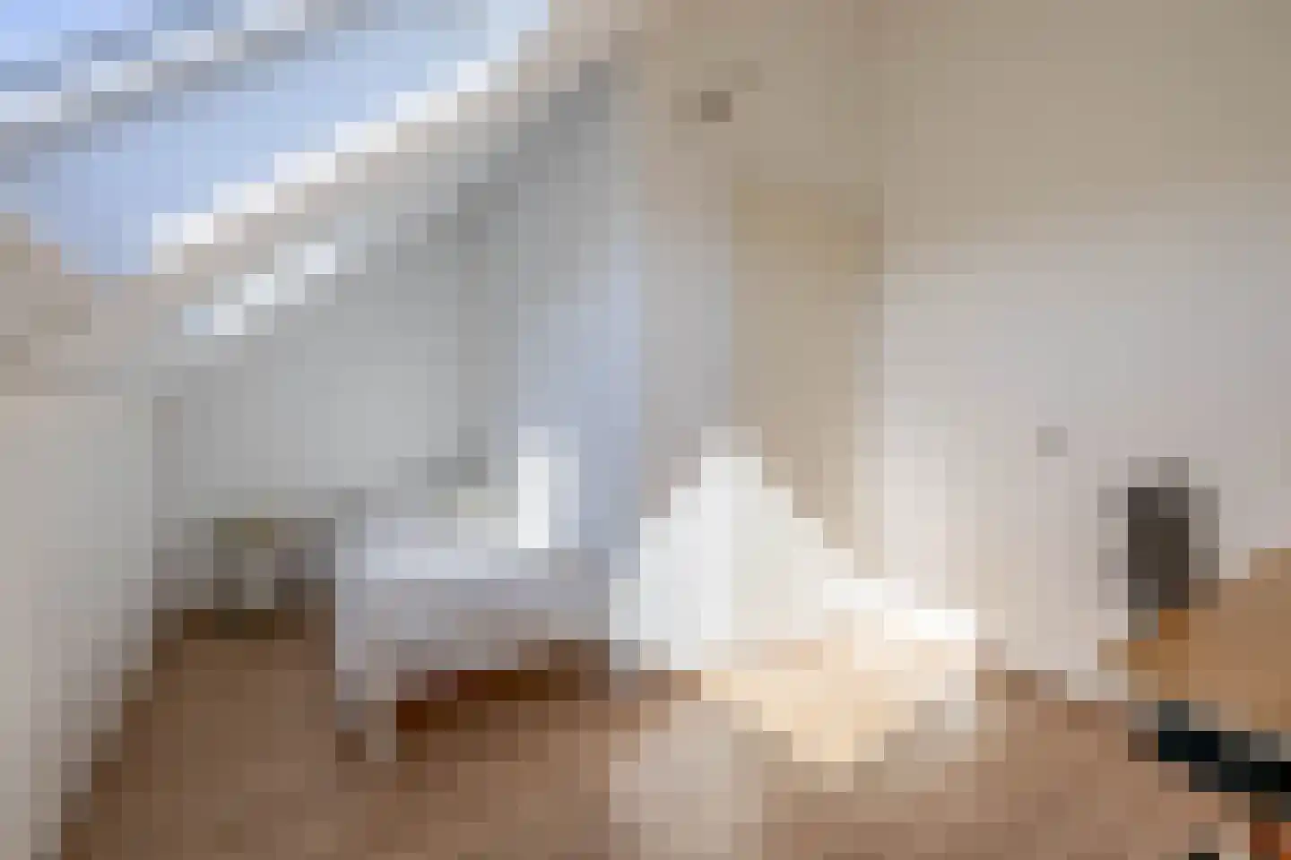 Hendrik Copijnstraat 24 Waddinxveen thumbnail 31