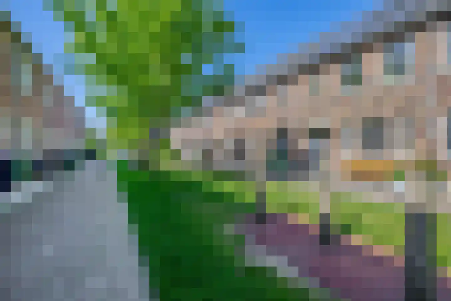 Hendrik Copijnstraat 24 Waddinxveen thumbnail 33