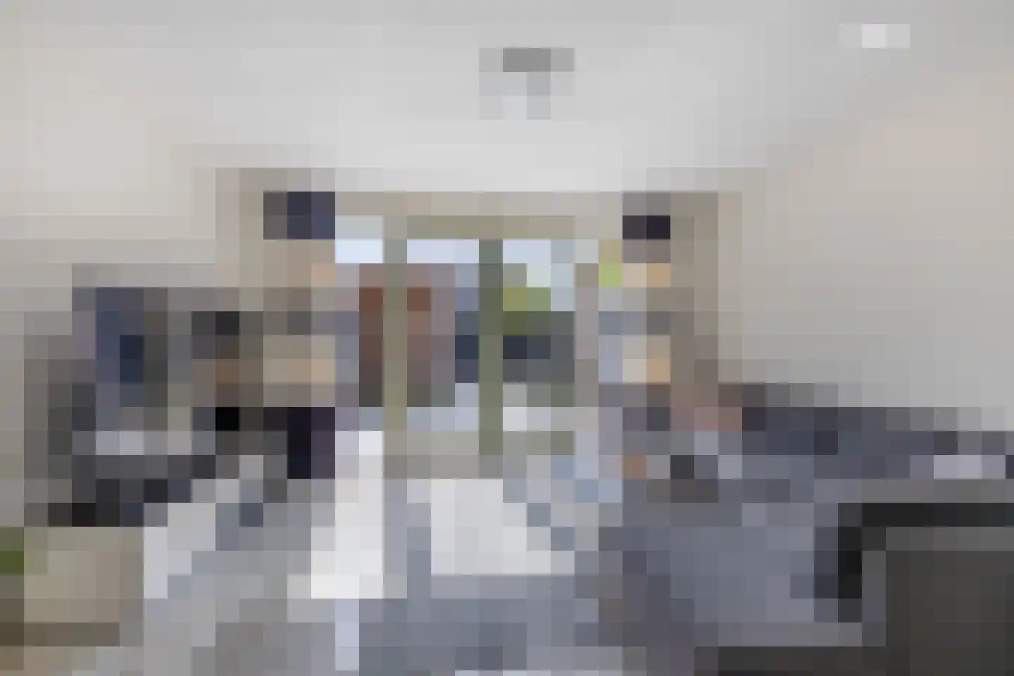 Hendrik Copijnstraat 24 Waddinxveen thumbnail 8