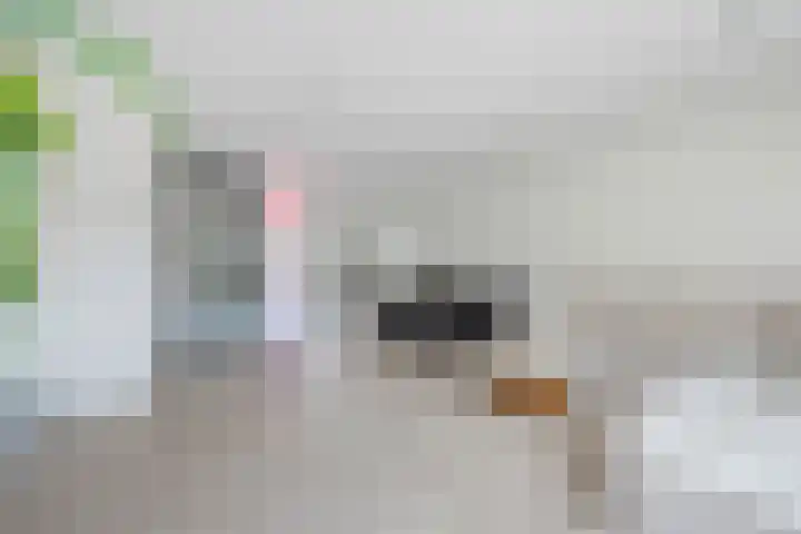 Hendrik Copijnstraat 31 Waddinxveen thumbnail 10