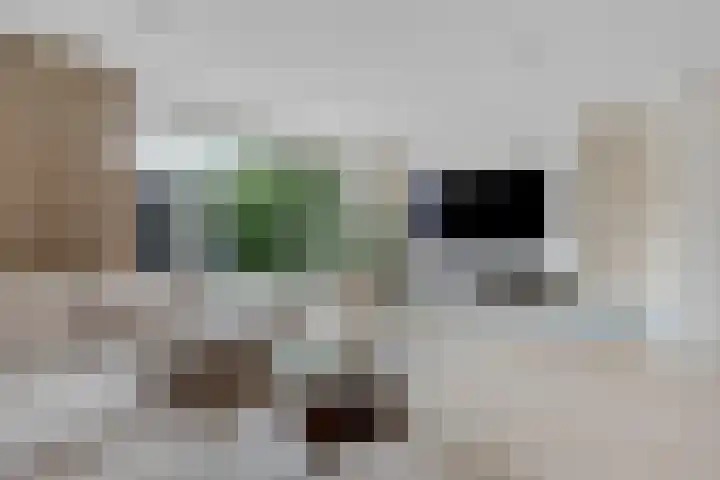 Hendrik Copijnstraat 31 Waddinxveen thumbnail 11