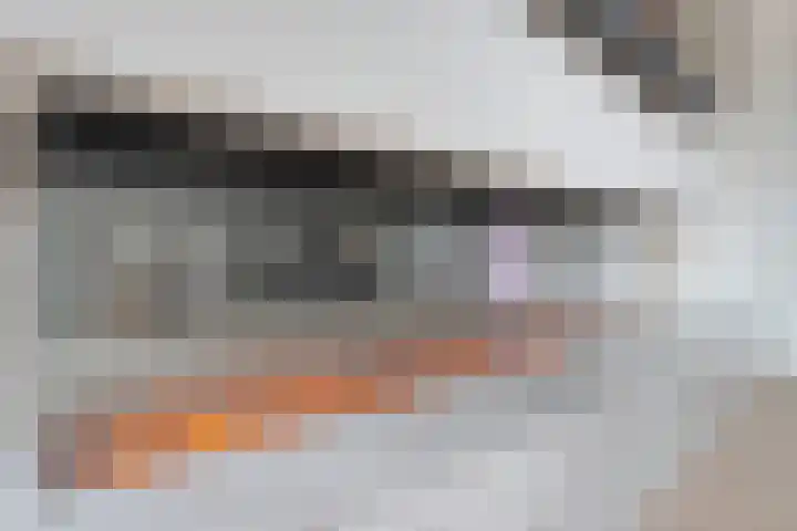 Hendrik Copijnstraat 31 Waddinxveen thumbnail 12