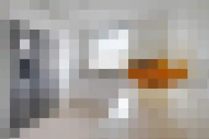 Hendrik Copijnstraat 31 Waddinxveen thumbnail 16
