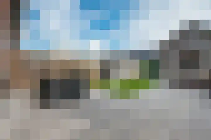 Hendrik Copijnstraat 31 Waddinxveen thumbnail 28
