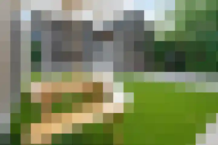 Hendrik Copijnstraat 31 Waddinxveen thumbnail 31