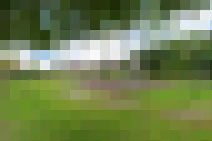 Hendrik Copijnstraat 31 Waddinxveen thumbnail 34