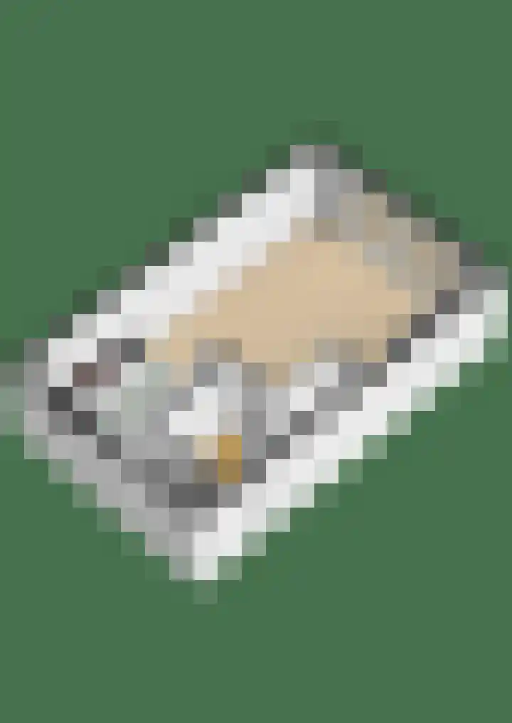 Hendrik Copijnstraat 31 Waddinxveen thumbnail 36