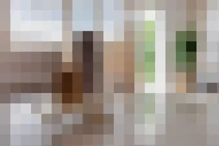 Hendrik Copijnstraat 31 Waddinxveen thumbnail 9
