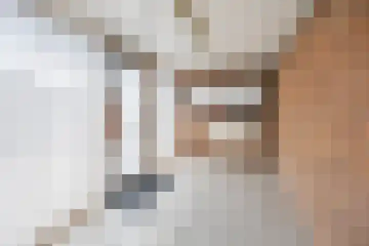 Hendrik de Haardtstraat 15 Winssen thumbnail 25