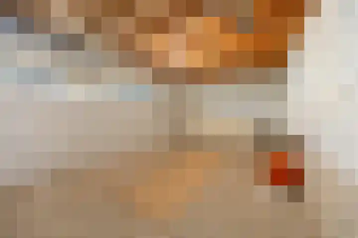 Hendrik de Haardtstraat 15 Winssen thumbnail 27
