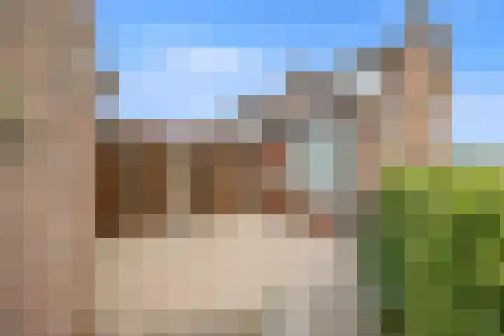 Hendrik de Haardtstraat 15 Winssen thumbnail 29