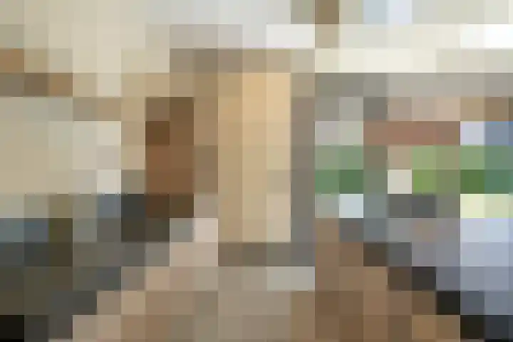 Hendrik de Jonghstraat 5 Haarsteeg thumbnail 10