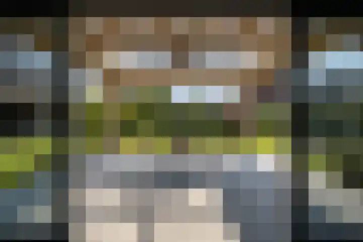 Hendrik de Jonghstraat 5 Haarsteeg thumbnail 11