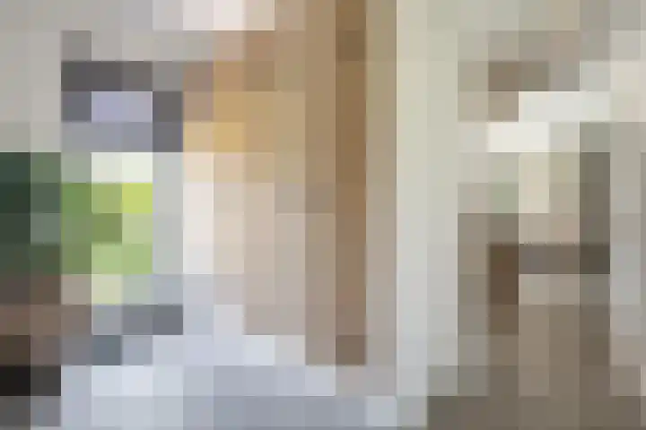 Hendrik de Jonghstraat 5 Haarsteeg thumbnail 12
