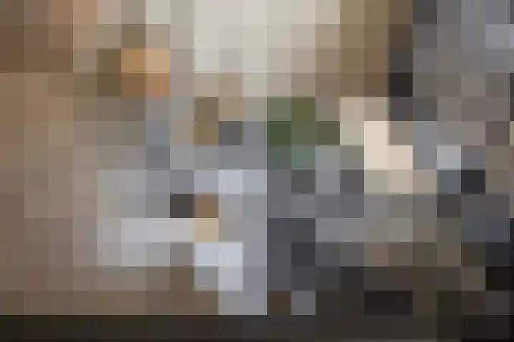 Hendrik de Jonghstraat 5 Haarsteeg thumbnail 15