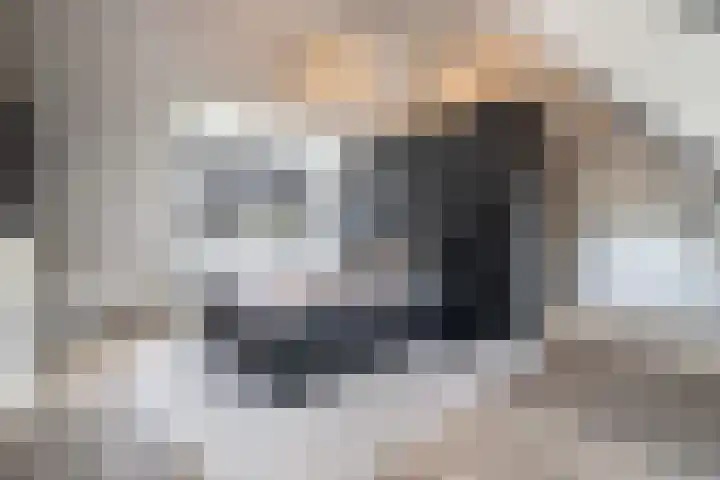 Hendrik de Jonghstraat 5 Haarsteeg thumbnail 16