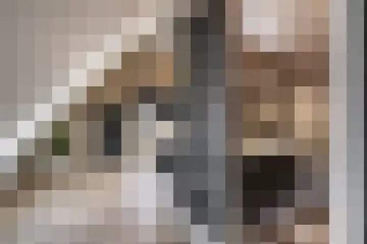 Hendrik de Jonghstraat 5 Haarsteeg thumbnail 17
