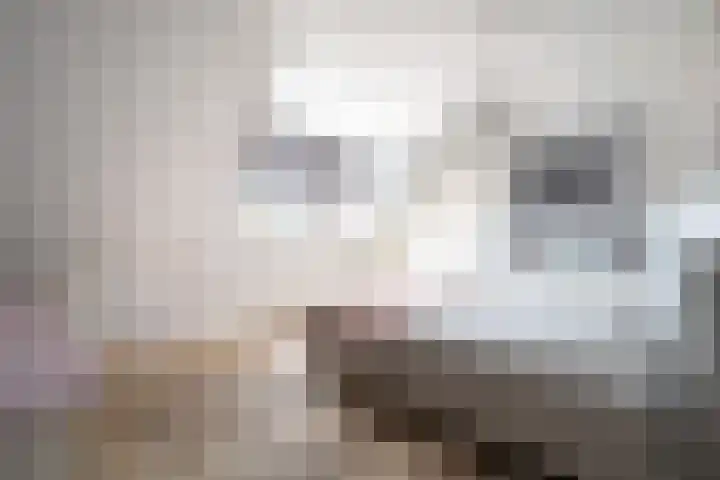 Hendrik de Jonghstraat 5 Haarsteeg thumbnail 19
