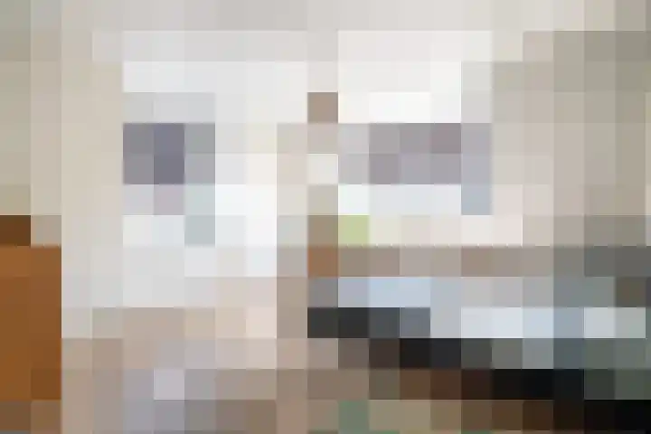 Hendrik de Jonghstraat 5 Haarsteeg thumbnail 20