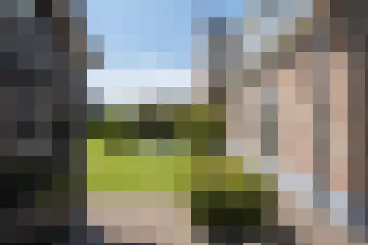 Hendrik de Jonghstraat 5 Haarsteeg thumbnail 28