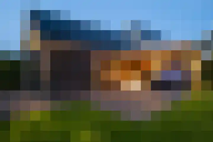 Hendrik de Jonghstraat 5 Haarsteeg thumbnail 29