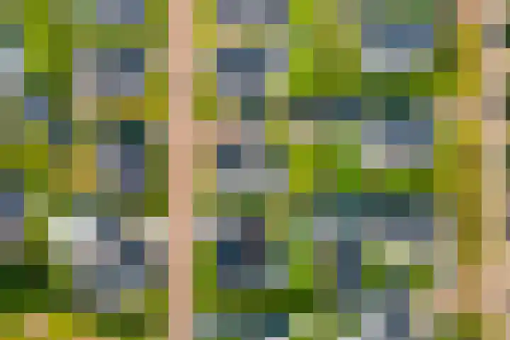 Hendrik de Jonghstraat 5 Haarsteeg thumbnail 33