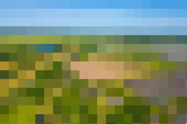 Hendrik de Jonghstraat 5 Haarsteeg thumbnail 34