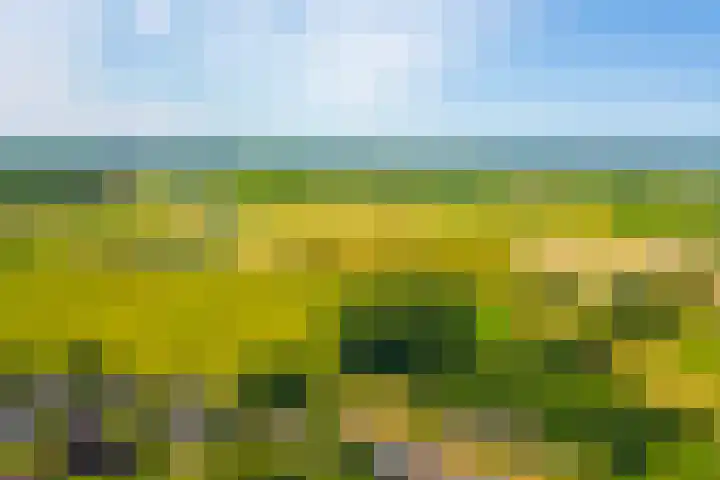 Hendrik de Jonghstraat 5 Haarsteeg thumbnail 35