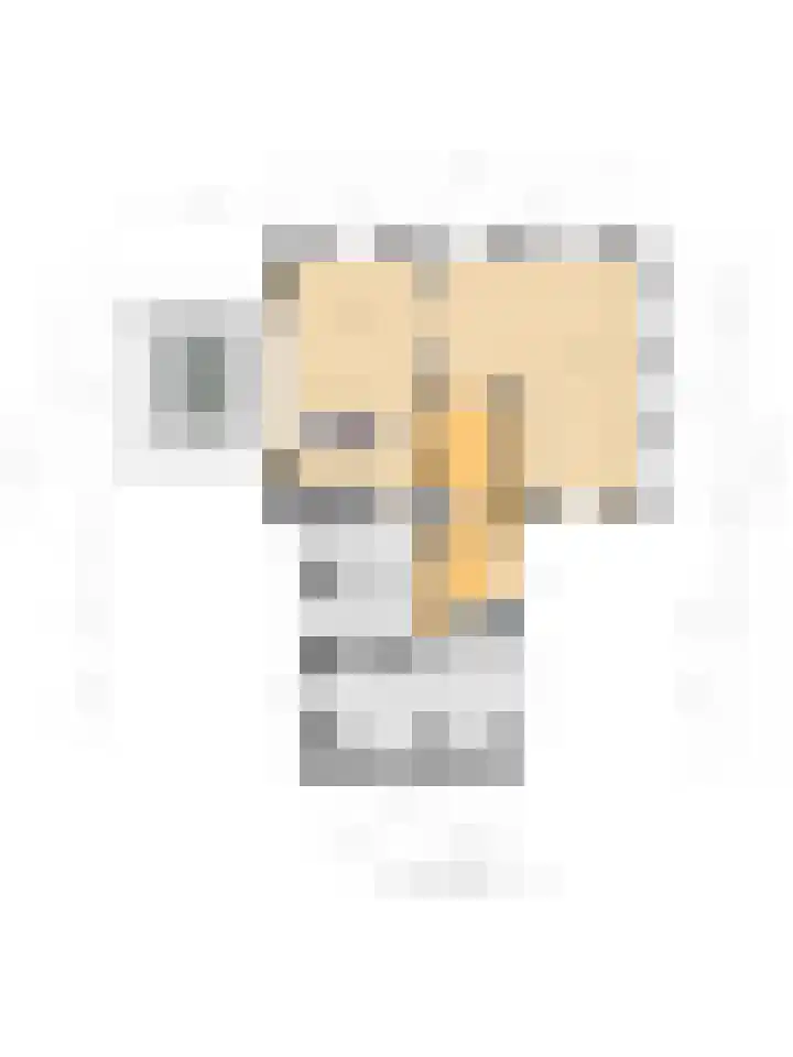 Hendrik de Jonghstraat 5 Haarsteeg thumbnail 36