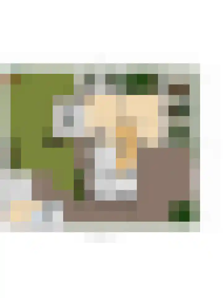 Hendrik de Jonghstraat 5 Haarsteeg thumbnail 37