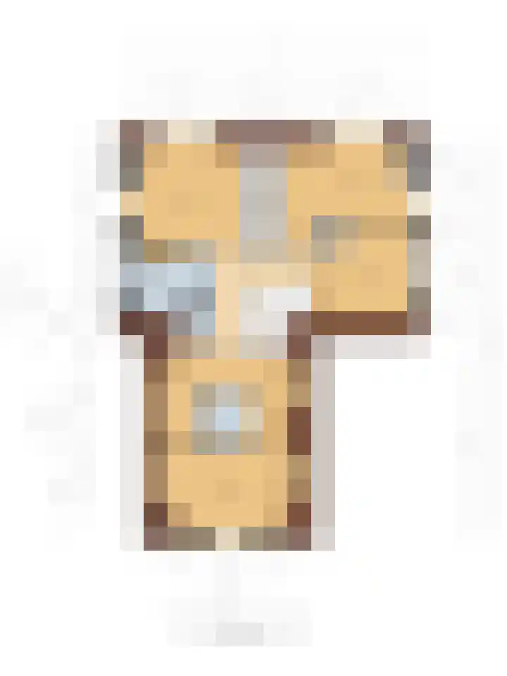 Hendrik de Jonghstraat 5 Haarsteeg thumbnail 38