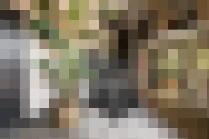 Hendrik de Jonghstraat 5 Haarsteeg thumbnail 4