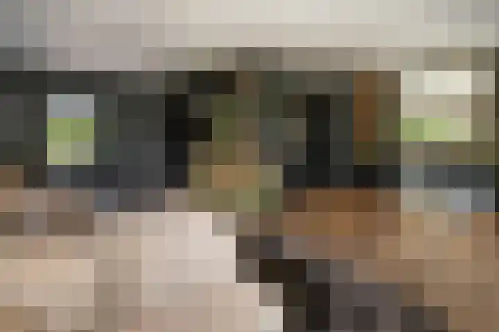 Hendrik de Jonghstraat 5 Haarsteeg thumbnail 6