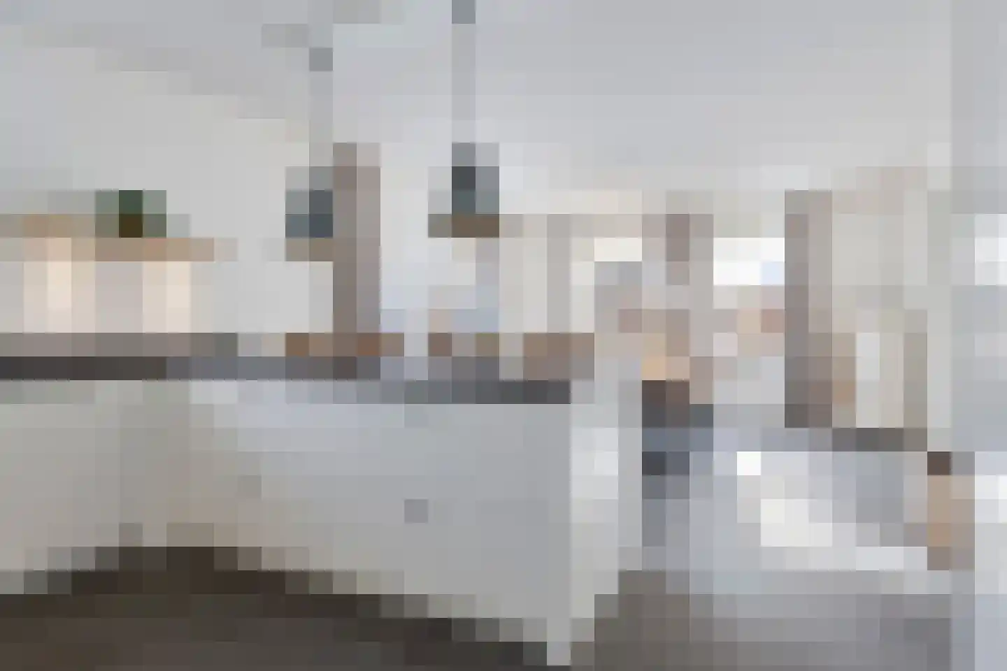 Hendrik de Jonghstraat 7 Haarsteeg thumbnail 20
