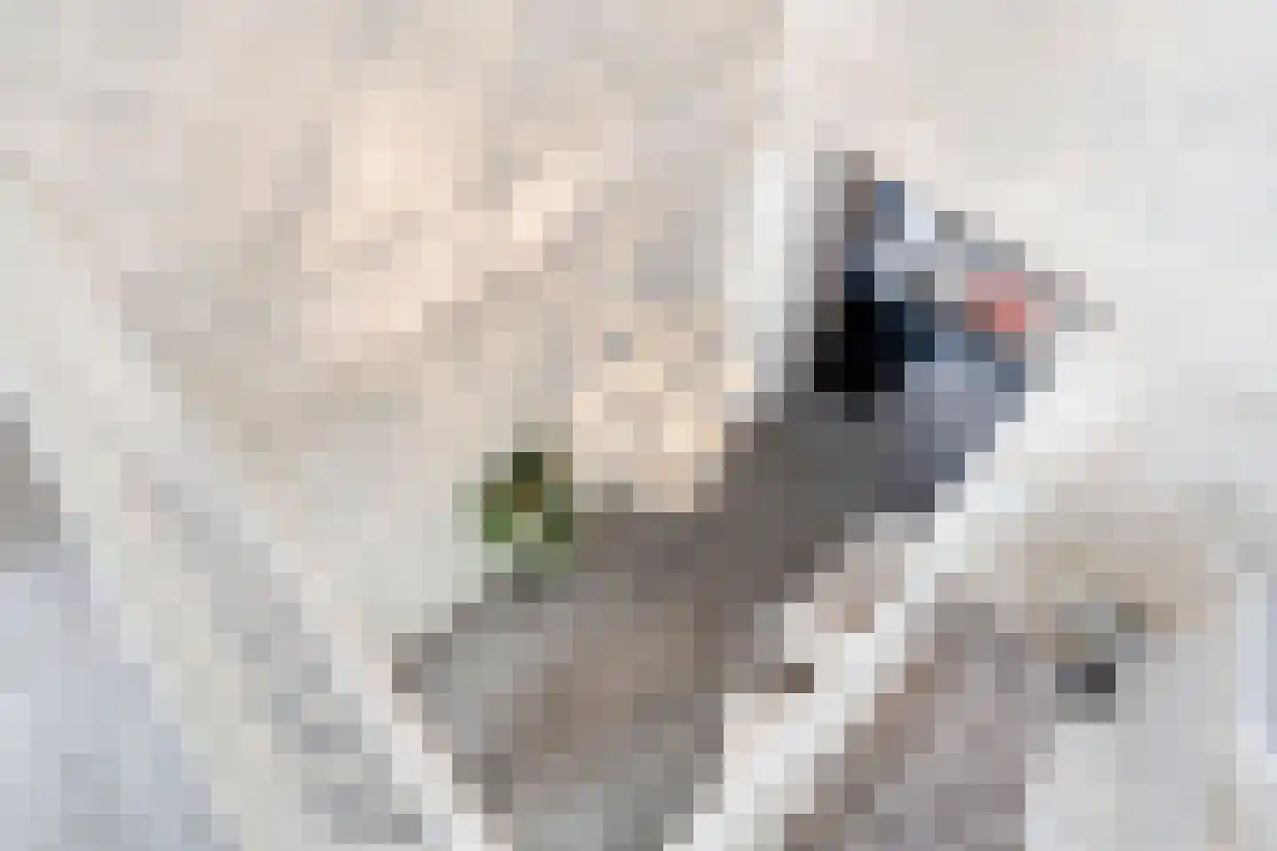 Hendrik de Jonghstraat 7 Haarsteeg thumbnail 22