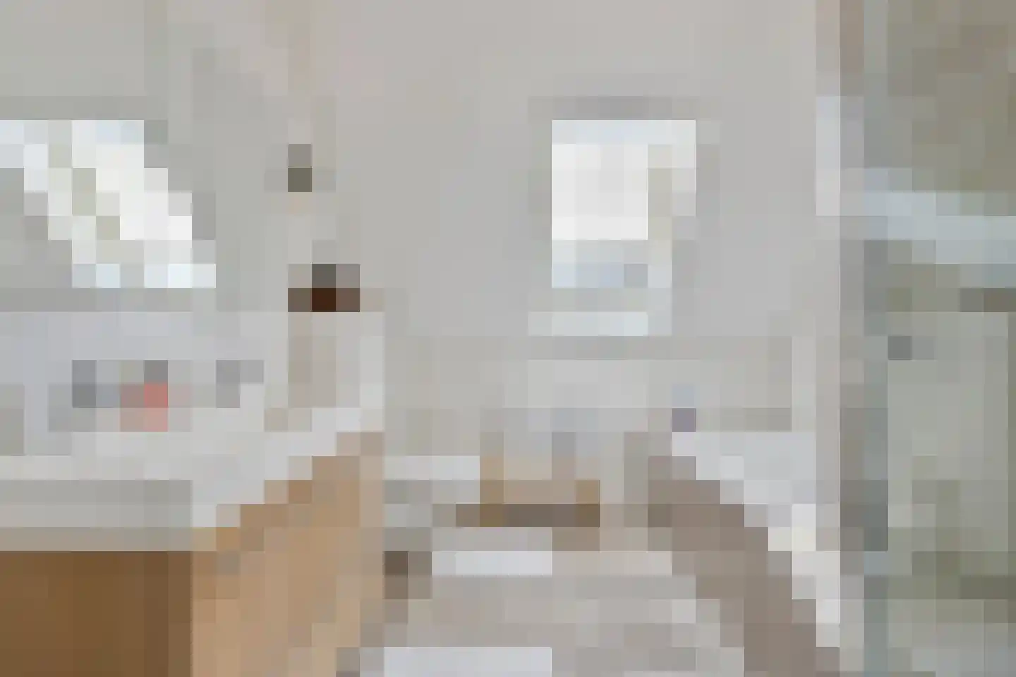 Hendrik de Jonghstraat 7 Haarsteeg thumbnail 26