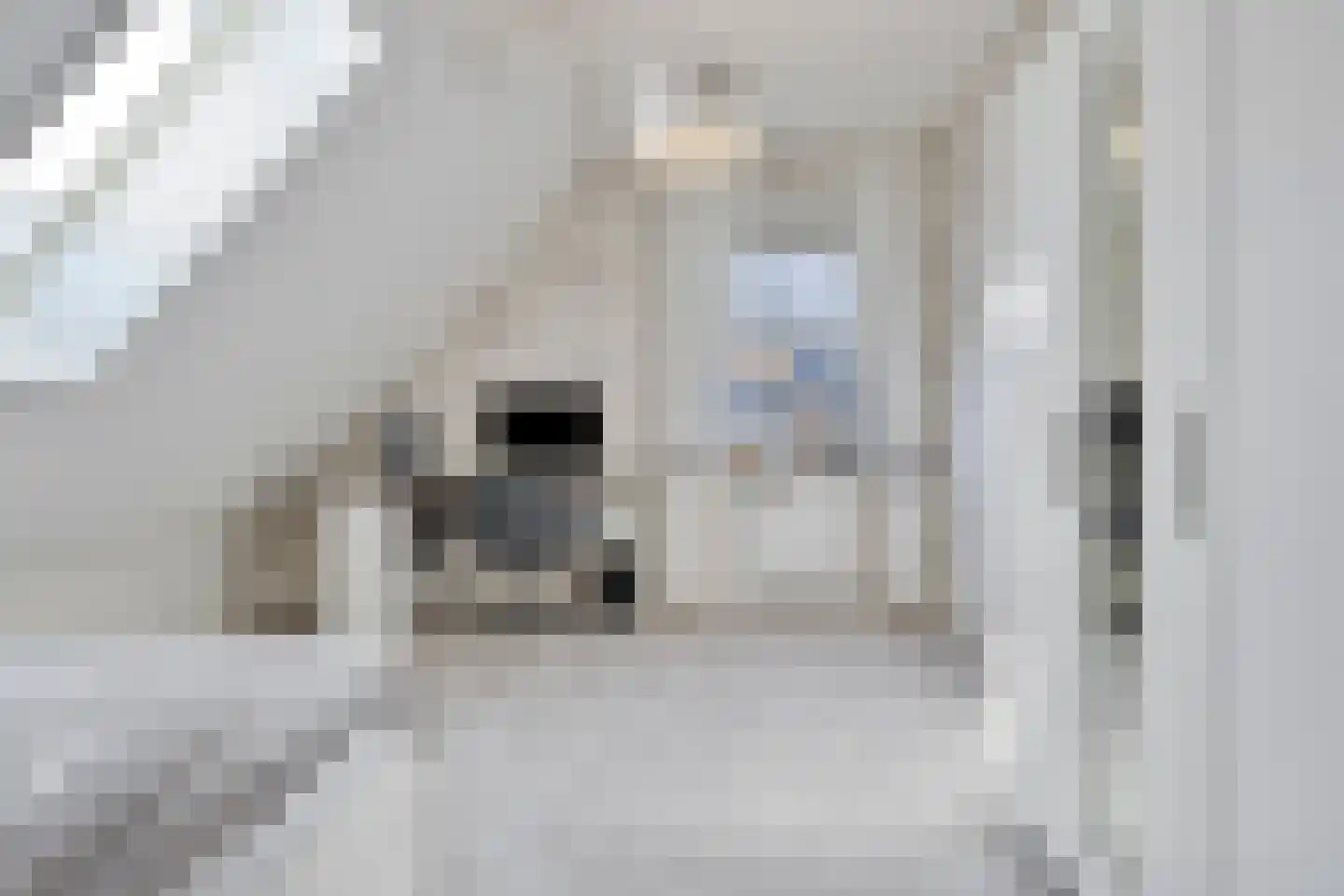 Hendrik de Jonghstraat 7 Haarsteeg thumbnail 28