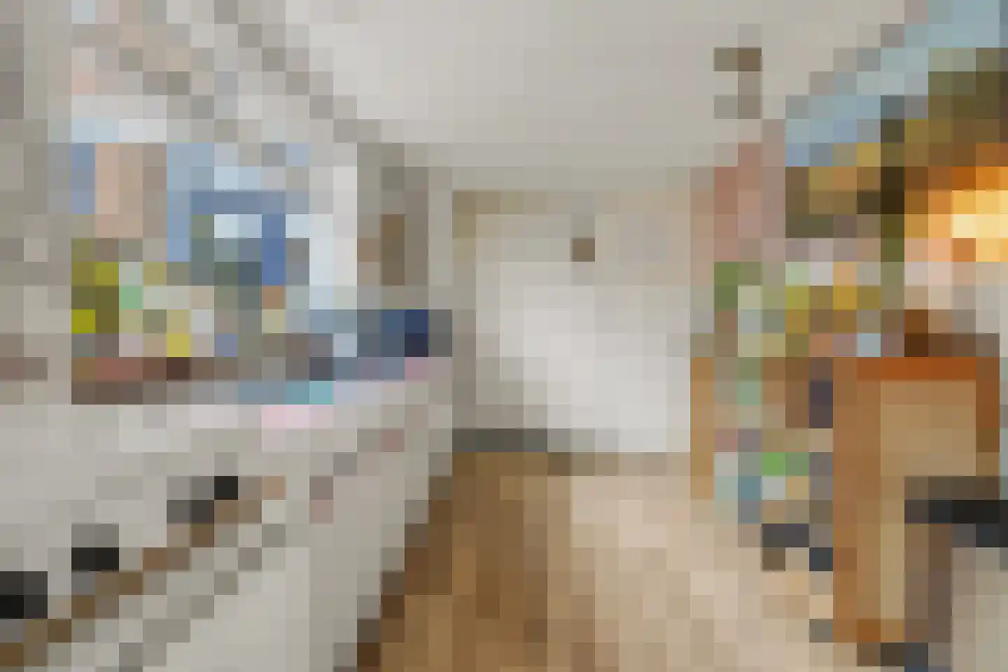 Hendrik de Keijserstraat 17 Tilburg thumbnail 10