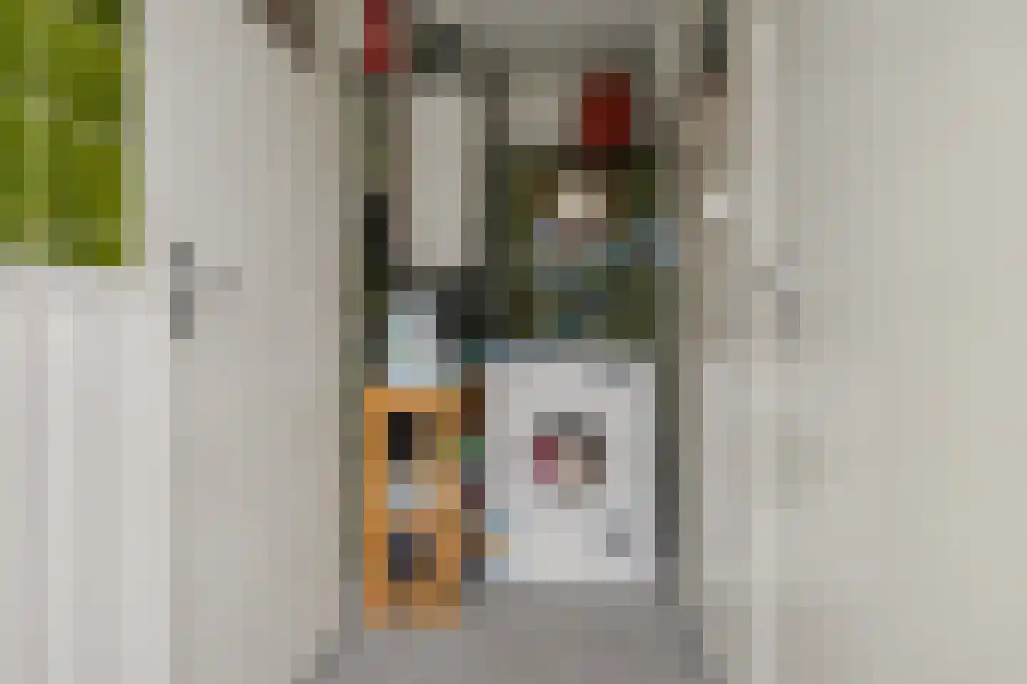 Hendrik de Keijserstraat 17 Tilburg thumbnail 11