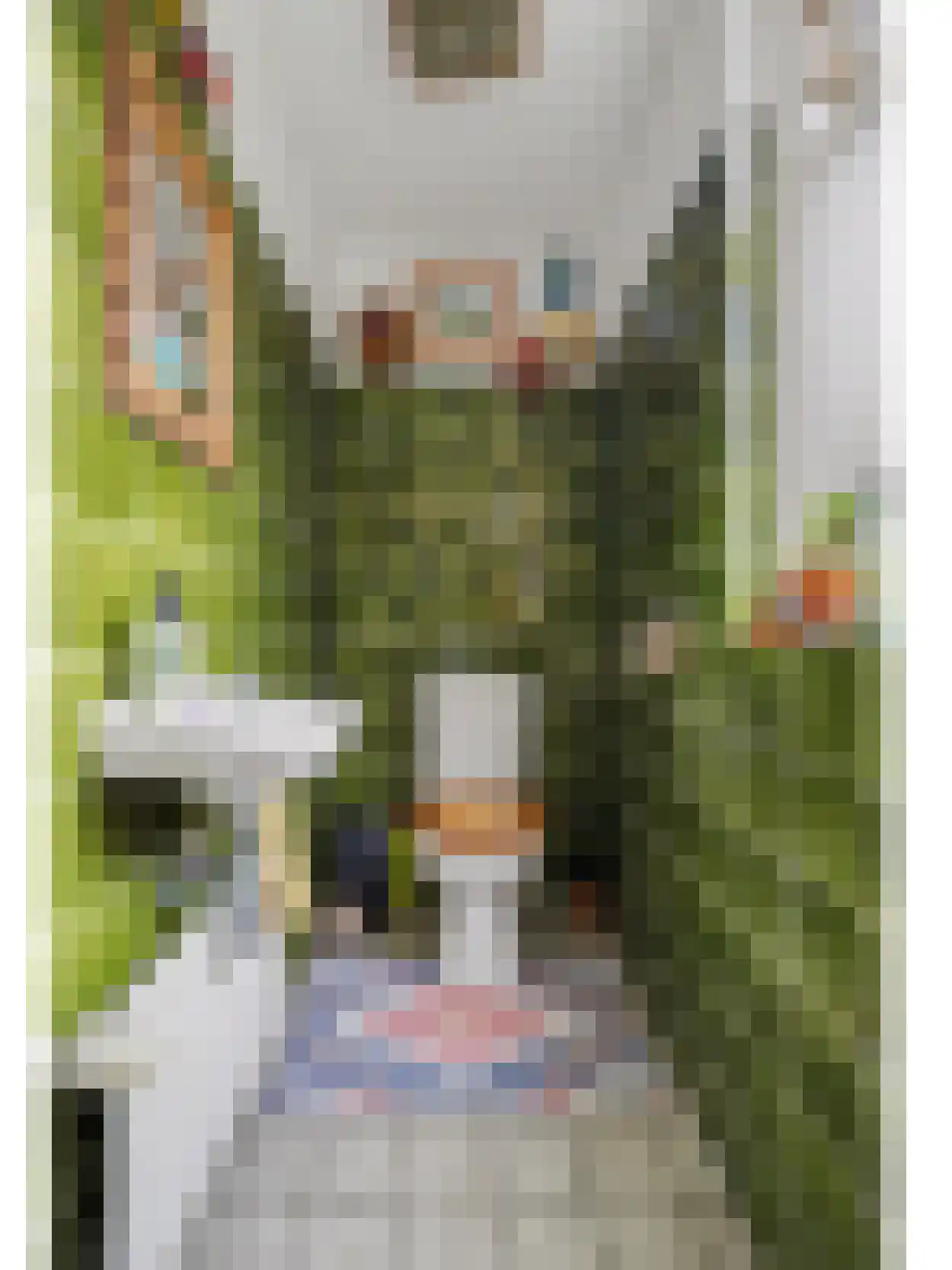 Hendrik de Keijserstraat 17 Tilburg thumbnail 12