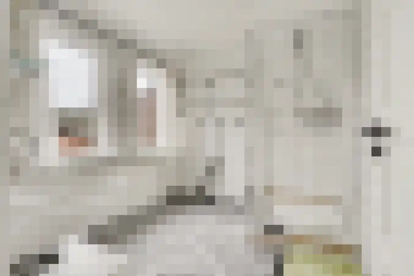 Hendrik de Keijserstraat 17 Tilburg thumbnail 20