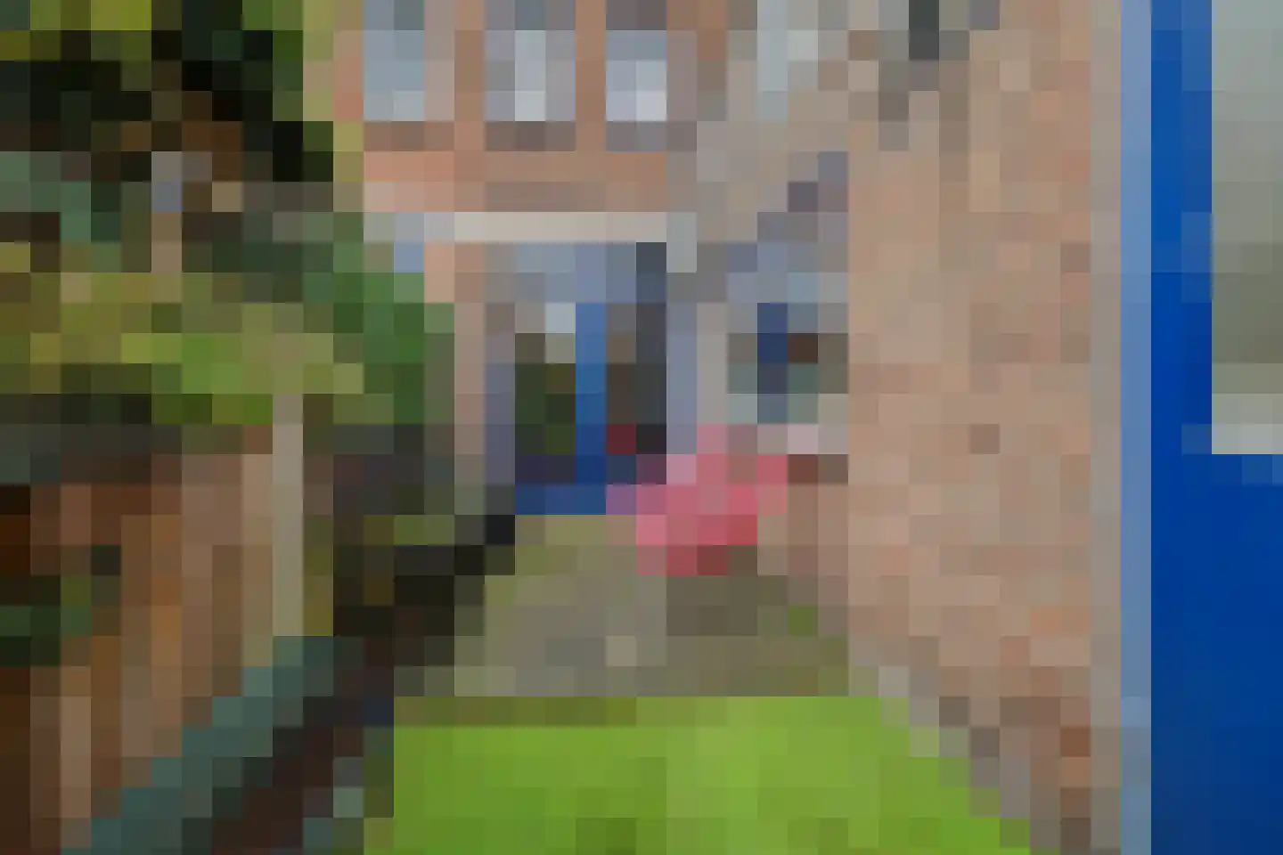 Hendrik de Keijserstraat 17 Tilburg thumbnail 32