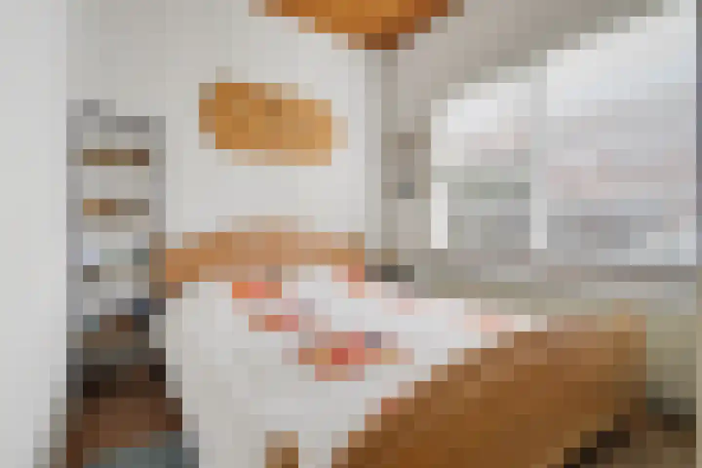 Hendrik de Keijserstraat 17 Tilburg thumbnail 7