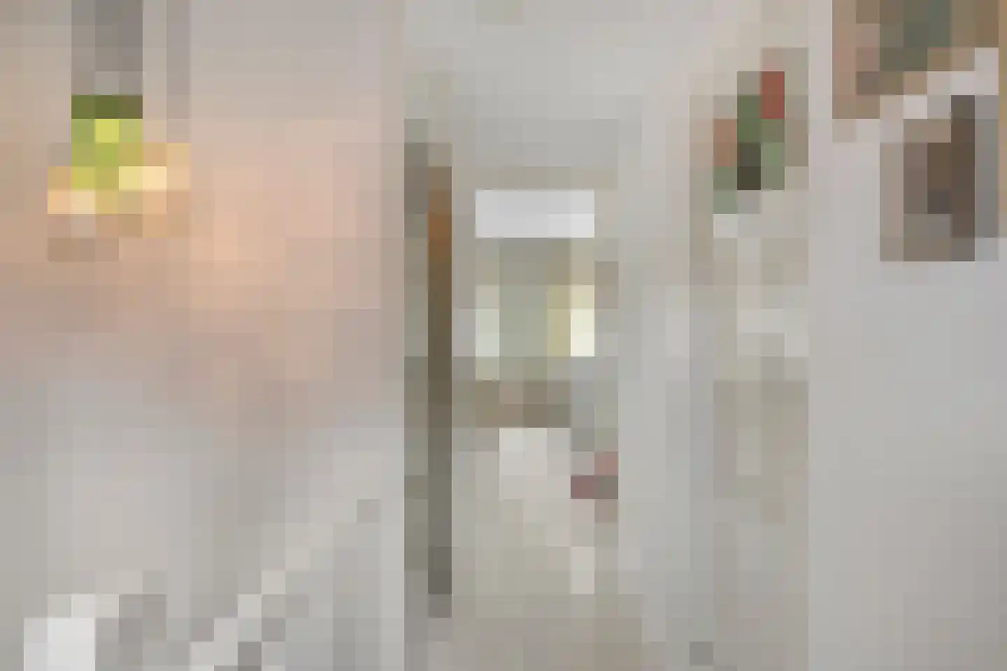 Hendrik de Keijserstraat 19 Tilburg thumbnail 25