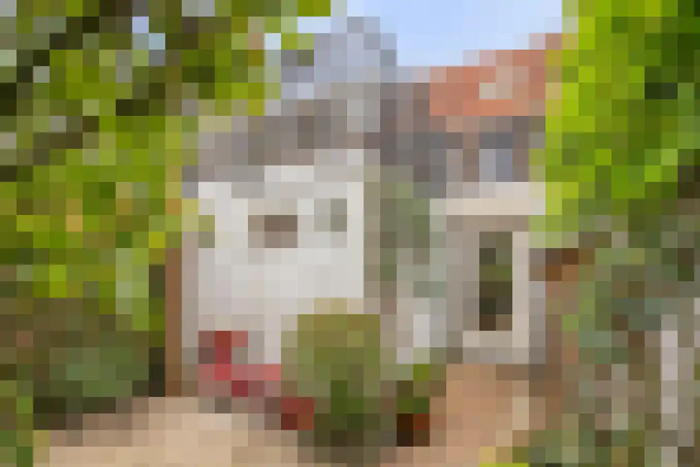 Hendrik de Keijserstraat 19 Tilburg thumbnail 47