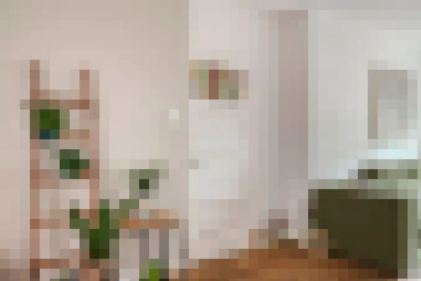 Hendrik de Keijserstraat 19 Tilburg thumbnail 5
