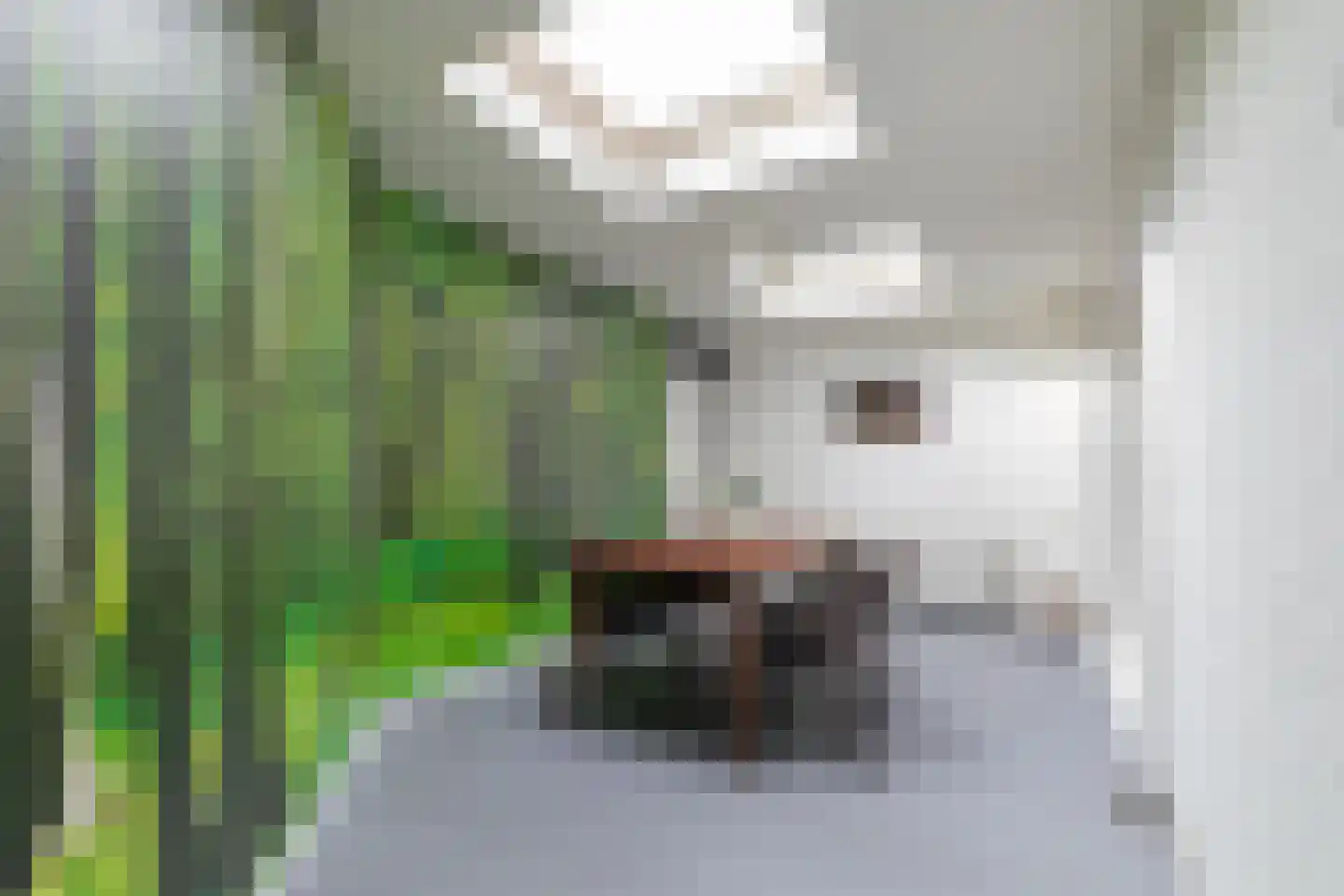 Hendrik de Keijserstraat 24 Tilburg thumbnail 6