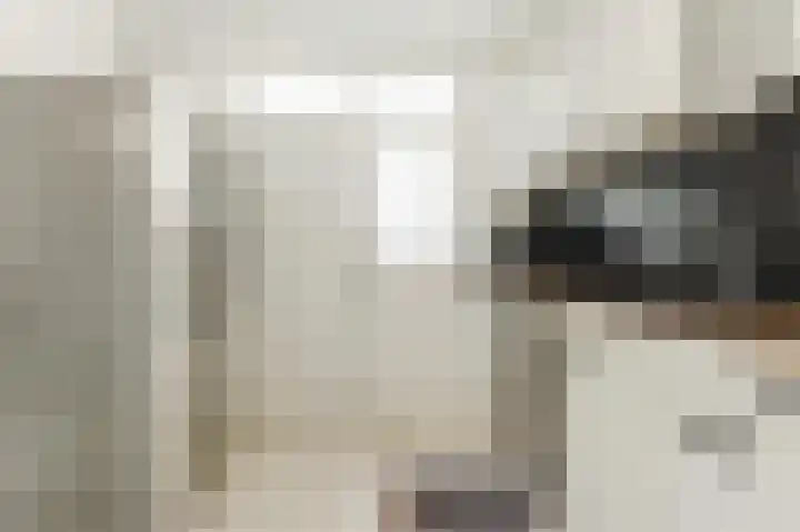 Hendrik de Keijserstraat 72 Tilburg thumbnail 10
