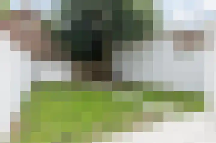 Hendrik de Keijserstraat 72 Tilburg thumbnail 31