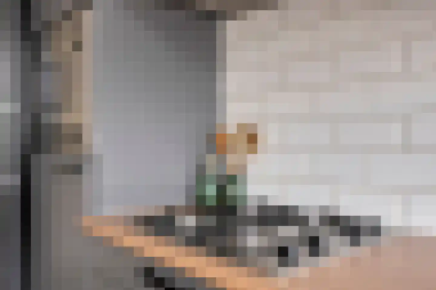 Hendrik de Keijserstraat 83 Tilburg thumbnail 18